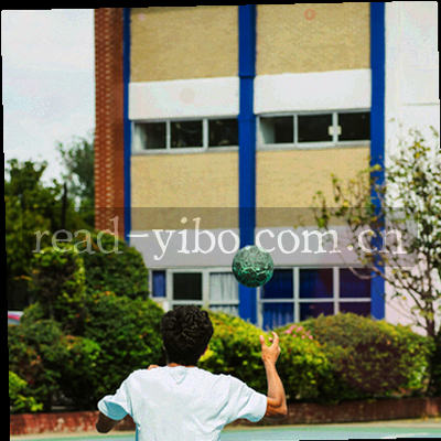 数据文档与战术折线组合示意图